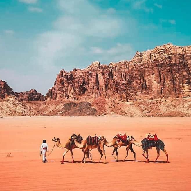 Bedouin Campsite & Tours Hotell Wadi Rum Exteriör bild