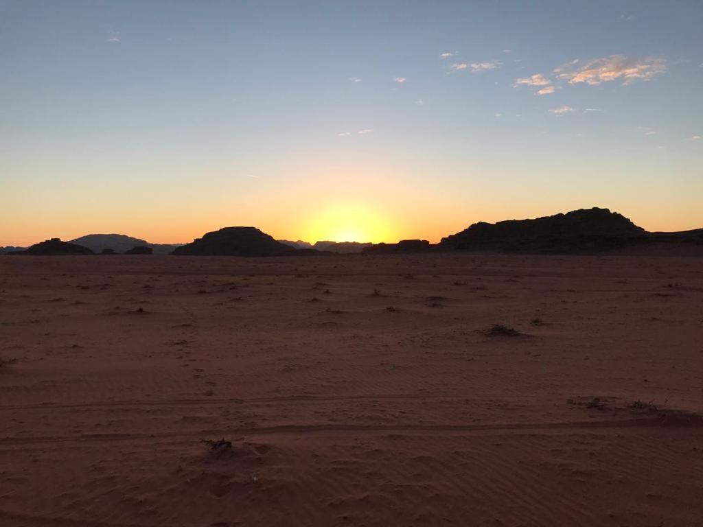 Bedouin Campsite & Tours Hotell Wadi Rum Exteriör bild