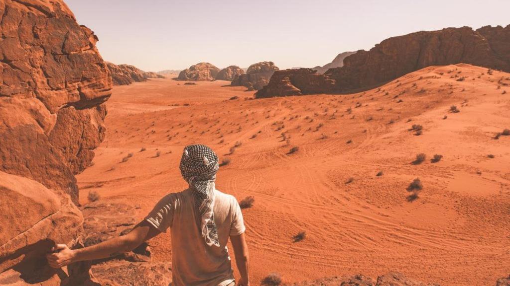 Bedouin Campsite & Tours Hotell Wadi Rum Exteriör bild