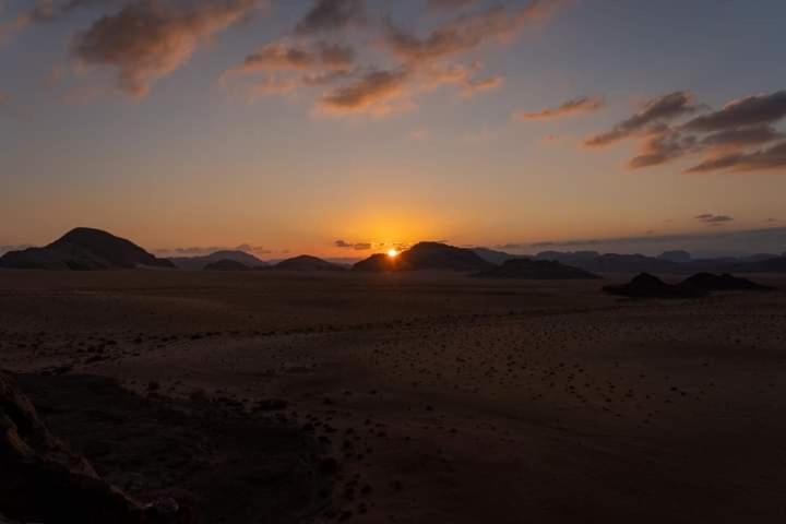 Bedouin Campsite & Tours Hotell Wadi Rum Exteriör bild