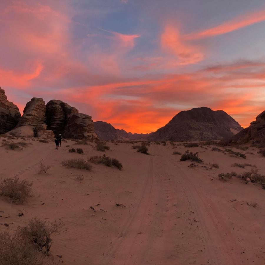 Bedouin Campsite & Tours Hotell Wadi Rum Exteriör bild